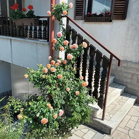 Apartment Peric